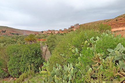 Cactus et joli village au Maroc