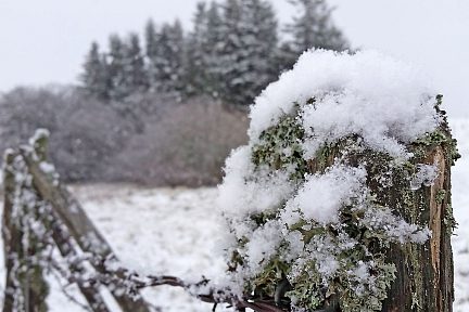 La neige est légère...comme du duvet !