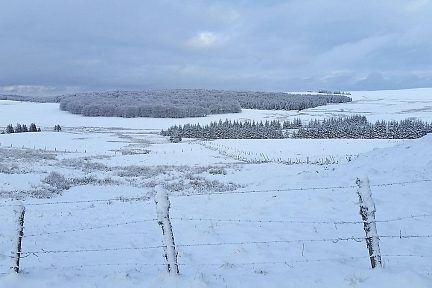 À la lisière des bois, vaste vue sur le plateau