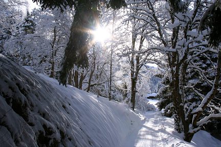 En route vers Miage (74)