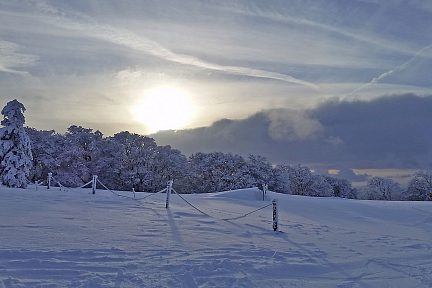 Soleil matinal sur la neige fraiche