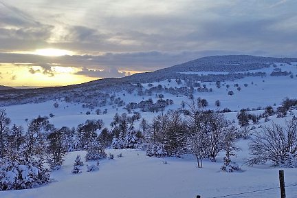Coucher de soleil sur la forêt enneigée