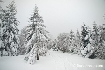 Blanc comme neige