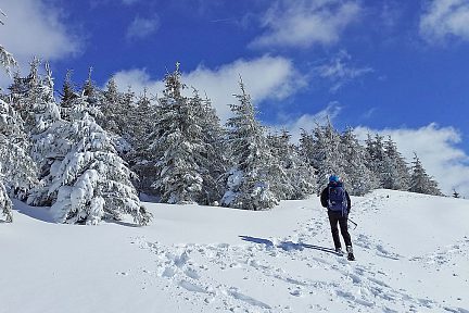 Aujourd'hui c'était sortie raquettes