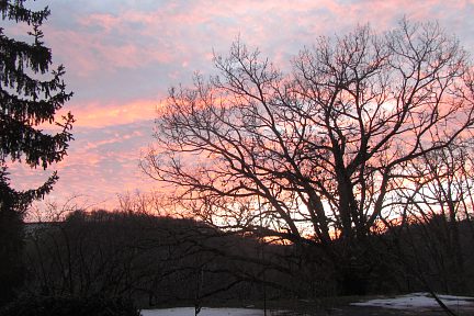 Début de coucher de soleil sur le bois