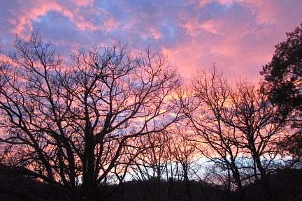 Coucher de soleil rose et jaune