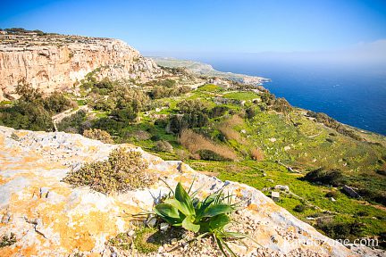 Balade le long des falaises à Malte