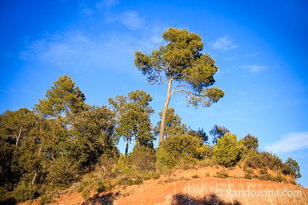 Terre ocre et temps splendide