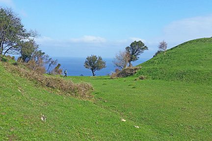 Entre terre et mer, bleu et vert