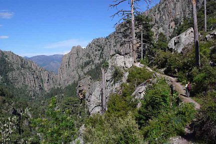 Vallée de la Restonica