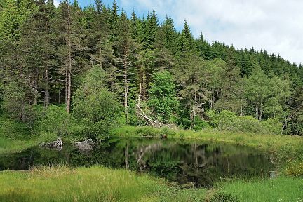 Lac noir dans la forêt sur le retour