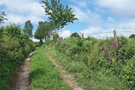 Chemin qui monte après Deux Verges