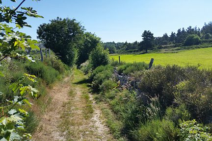 Chemin juste après le premier croisement
