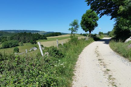La piste que l'on suit