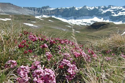 Dans le cirque de Troumouse c'est si beau !