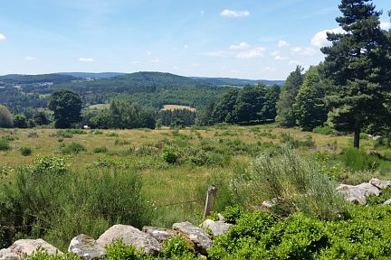 Vue sur les alentours verdoyants