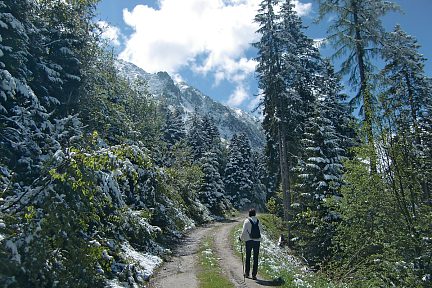 Près de Barèges dans la forêt