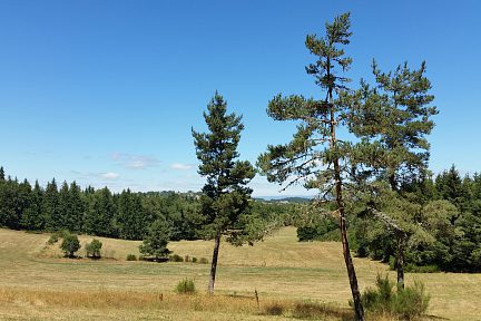 Calme au coeur de l'été