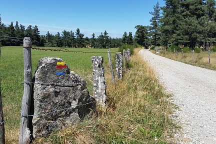 Chemin entre bois et paturages