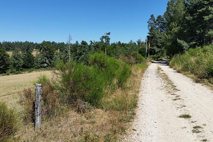 En VTT c'est parfait !