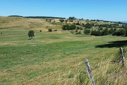 Nature à l'état brut