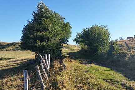 Le chemin grimpe un peu plus