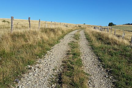 Entre deux paturages