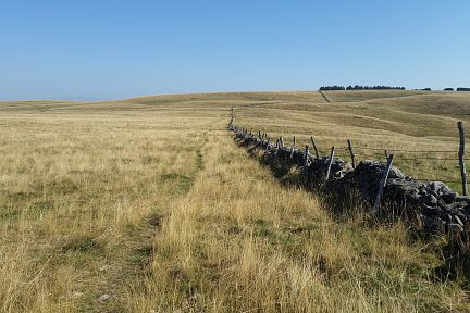 Le sentier à peine visible