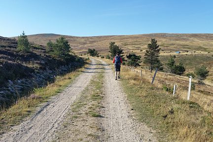 Sur la piste