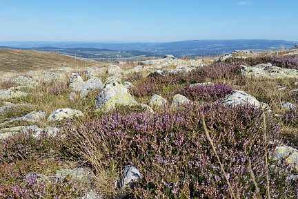 En Lozère fin aout 