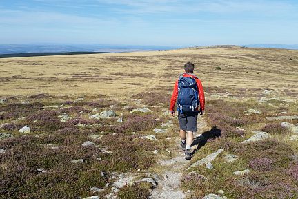 Sur le sentier venteux