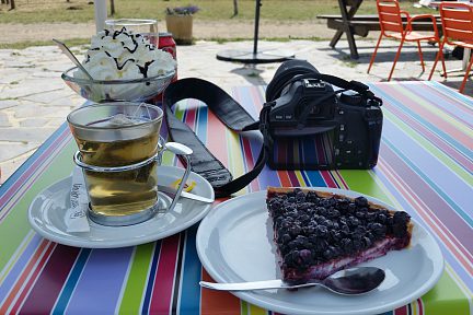 Délicieuse tarte aux myrtille en récompense