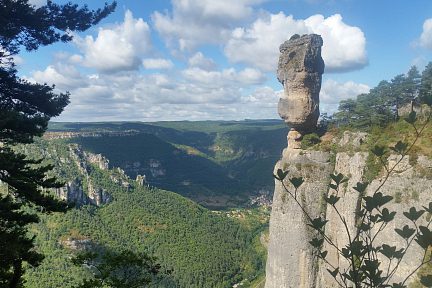 Vase de Sèvres sur le Causse Méjean
