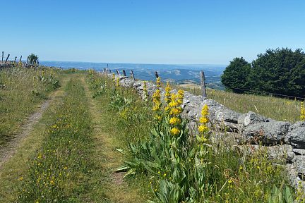 Juste avant de découvrir la vallée