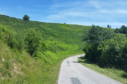Un petit passage sur une route peu passante