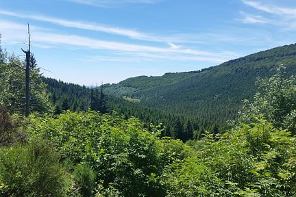 Déclinaison de verts