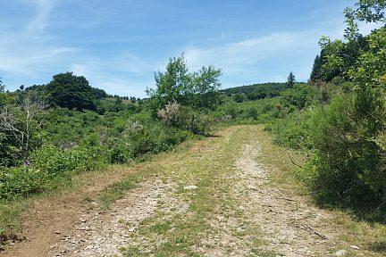 Un peu avant la ferme à traverser