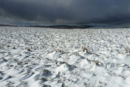 Une éclaircie dans un ciel menaçant
