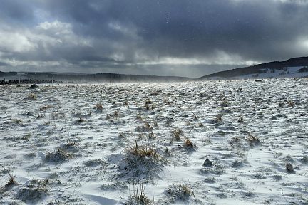 Bourrasques de neige sur l'Aubrac