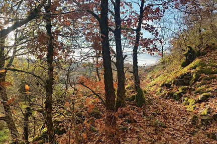 Sur le sentier qui grimpe