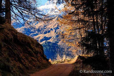 Le sentier est déjà superbe