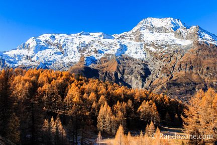 Belle vue sur le Mont Pourri et les mélèzes