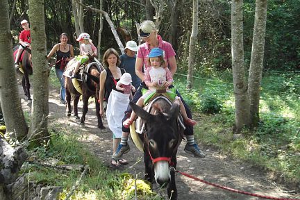 Randonnée avec des ânes 