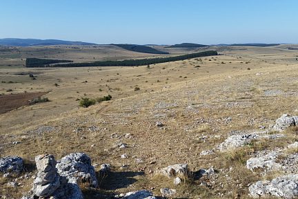 Sur le causse Méjean