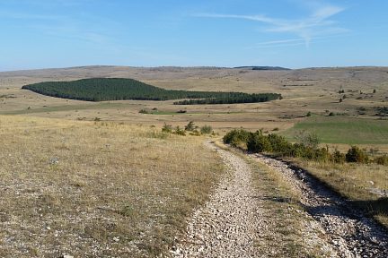 Le chemin à perte de vue