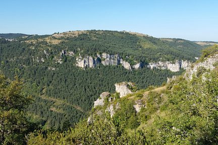 Dans les gorges verdoyantes