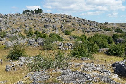 Un léger sentier passe par ici