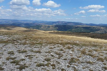 Au sommet du Mont Gargo