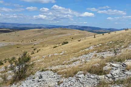 Sur la montée au Mont Gargo