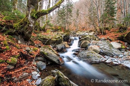 Balade dans la forêt au milieu des cascades